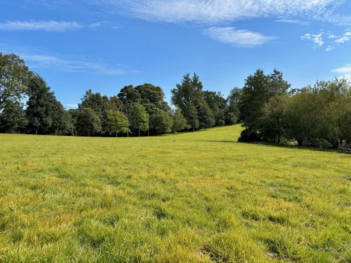 The Grange Estate with 4 seperate barn conversions, Erpingham, NR11