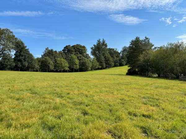 The Grange Estate with 4 seperate barn conversions, Erpingham, NR11
