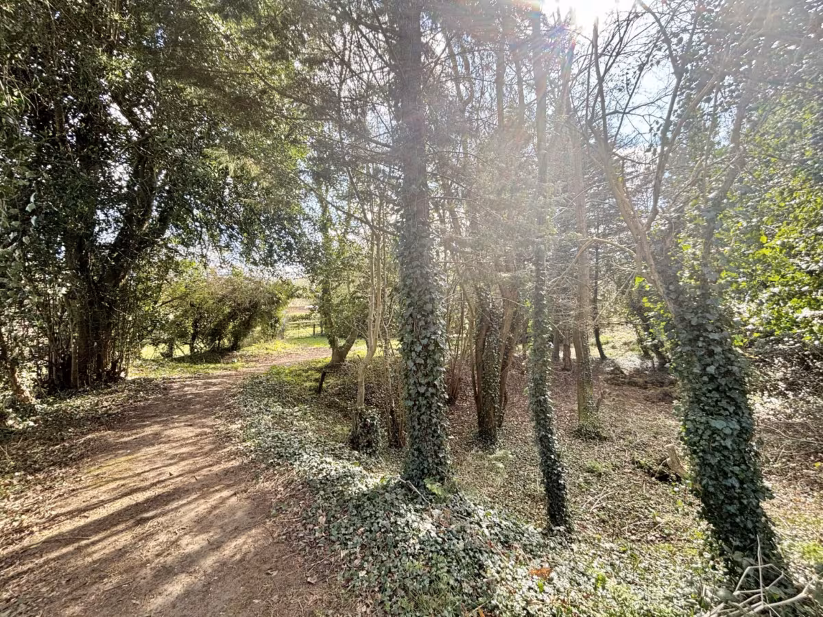 Horstead, Norfolk, NR12 7NY