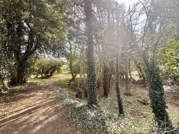 Horstead, Norfolk, NR12 7NY