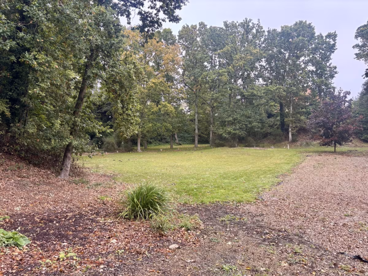 Grove Lane Holt, Norfolk, NR25 6ED
