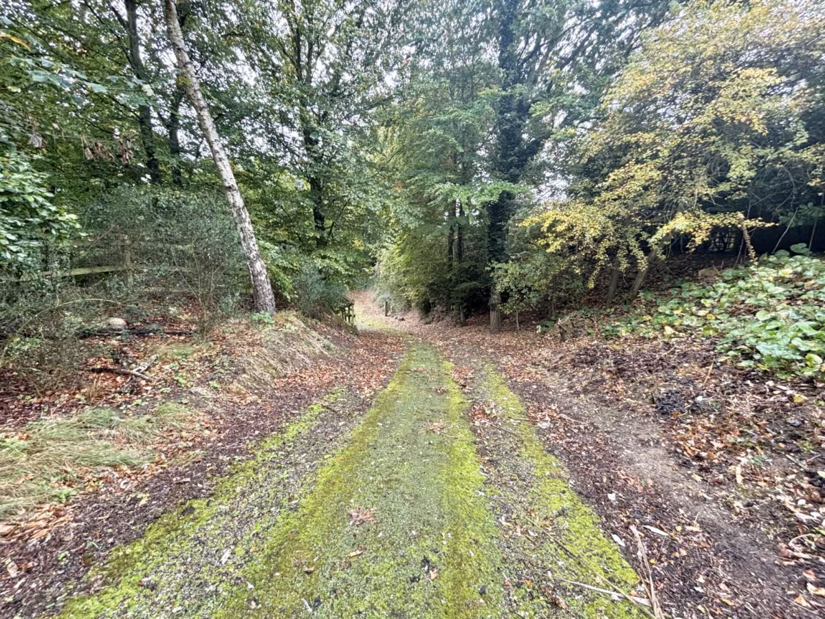 Grove Lane Holt, Norfolk, NR25 6ED