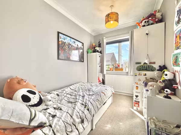 Elm Grove Lane, Norwich, Norfolk, NR3
